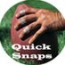 Quick Snaps Show (@quicksnapsshow) artwork