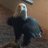 newsjunkie19511's avatar