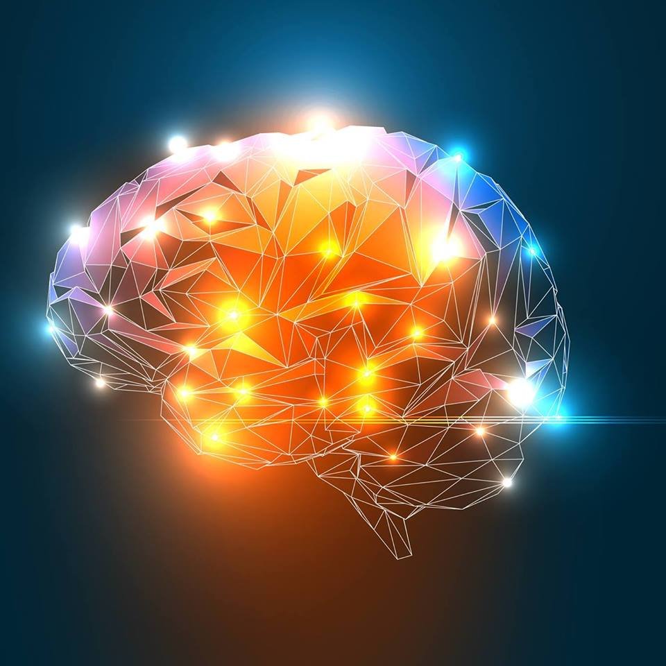 FauBrain's profile picture. The FAU Brain Institute is a physical and programmatic embodiment of the FAU Neuroscience Pillar.