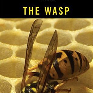 Don’t miss Morgan Lloyd Malcolm’s ‘The Wasp’ at Bromley Little Theatre! Totally gripping! Wed 23rd – Sun 27th May 2018 at 7.45pm (In the Bar)