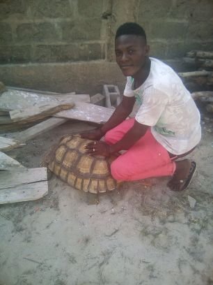 abaloakoete's profile picture. 