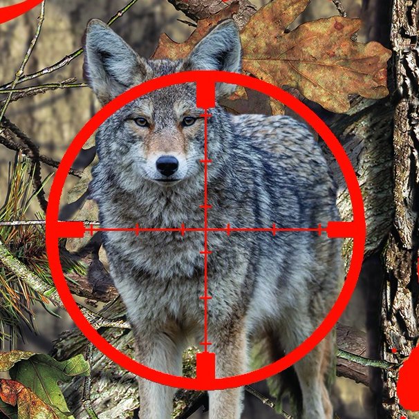 Diablo's Outdoor Adventures is a talk show all about predator hunting which can be seen on YouTube.