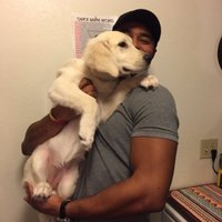 Tyler Dinkins (@t_daddydinks) 's Twitter Profile