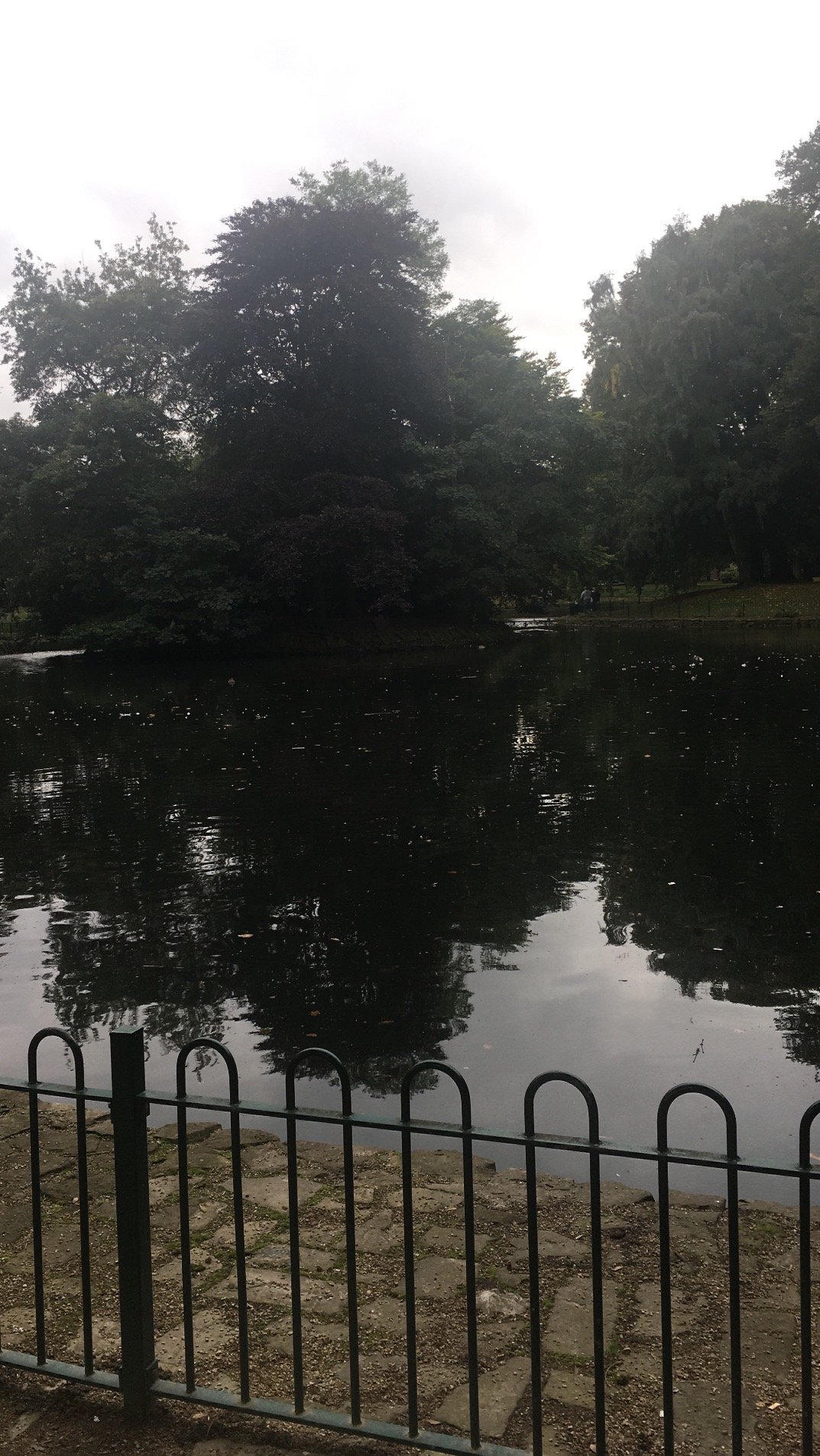 Amad24's profile picture. Landscape Arcitecture Assistant professor at Faculty of Arcitecture & Planning, Head of Landscape Department