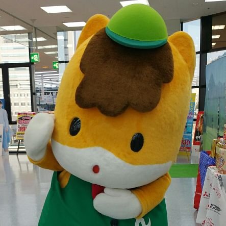 G2Q6kw3VgLA2S3M's profile picture. 2017/6/24～ ハンザキスト🐮🌏/
2025/3/15～群馬グリーンウイングス💚🪽🏐