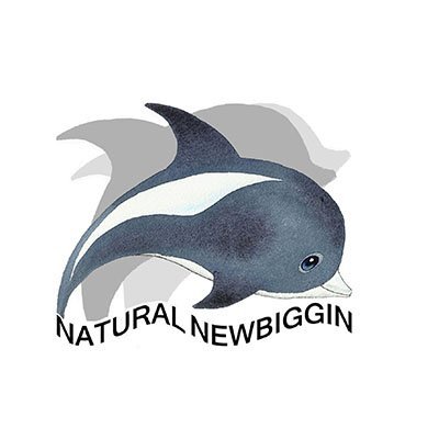 NatNewbiggin Profile Picture