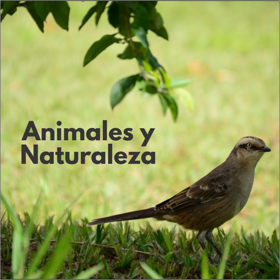 animalesynatura's profile picture. Blog de artículos sobre animales y naturaleza