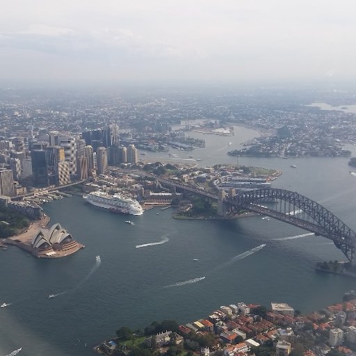 flygirltb's profile picture. 