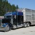 Canadian Livestock Transport (@CLTprogram) Twitter profile photo