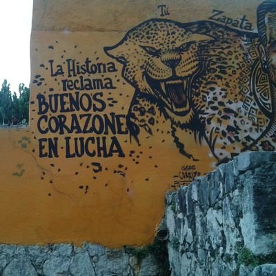 Creo en la capacidad  de reflexión y de acción 
Creo en el pensar y concebir 
Creo que en el talento de cada uno de nosotros hay una constante evolución
Creo..