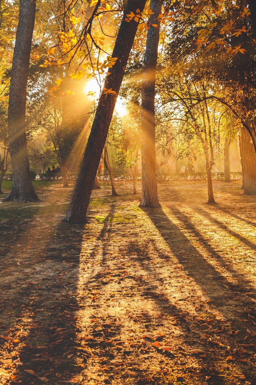 juoropeza2's profile picture. 