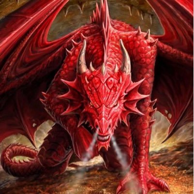 CryptoDragonX's profile picture. An avid researcher and investor in crypto who’s objective is to educate & help you increase your wealth NOTE Tweets are my opinions and NOT financial advice!