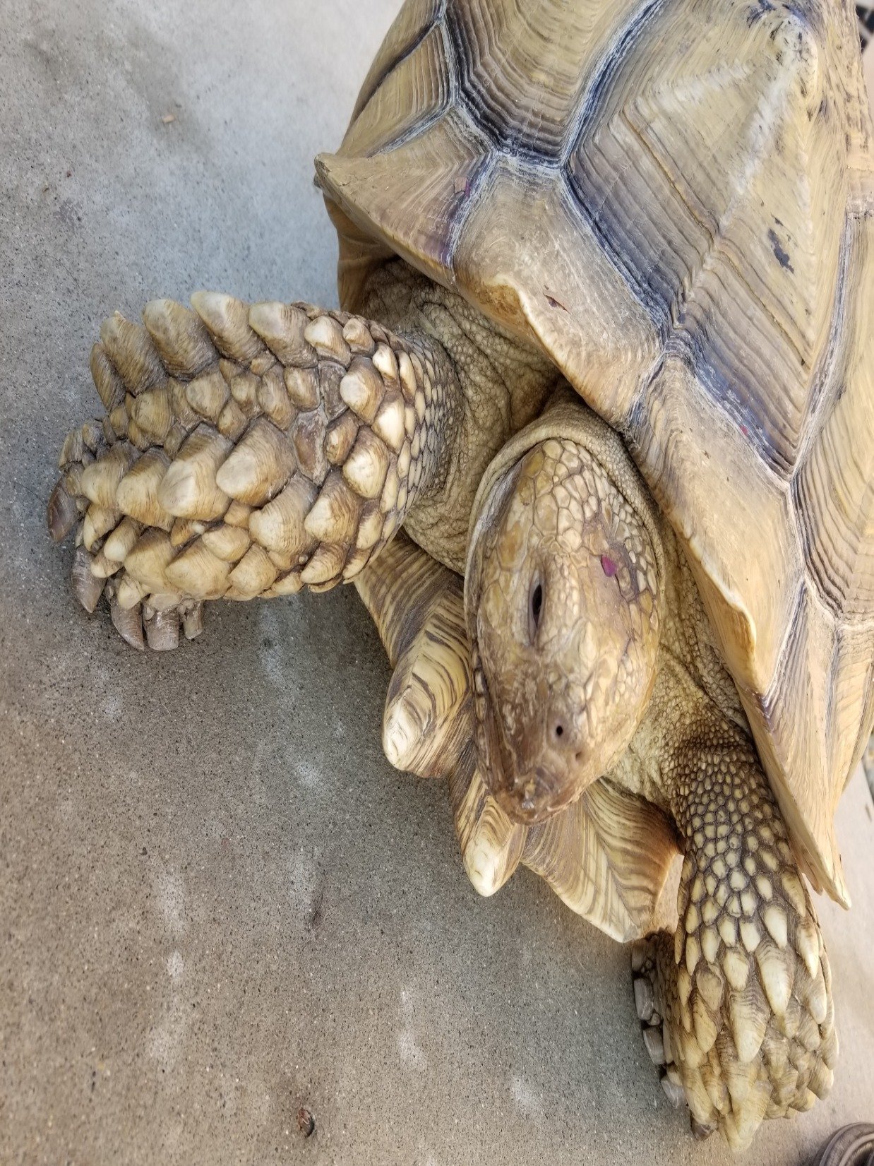 VictorRabe6's profile picture. 