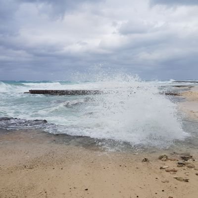 Leo_is_Blue's profile picture. 