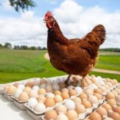 NYFoodThug's profile picture. Foodie, Critic, Flame Thrower, Army Vet, U2