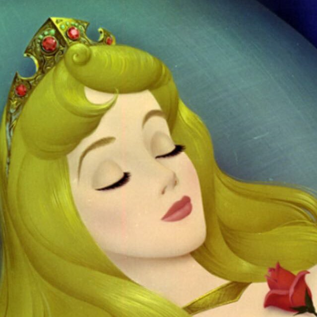 lauracam_zano's profile picture. the place beyond the palms