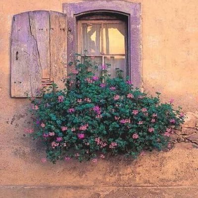 mee135m43's profile picture. A hand lifated to Allah isn’t let down✨.