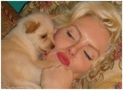 I rescue dogs and support humane treatment of animals.  Visit my website for the best dog and cat pet beds!