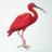 Spicy_Ibis's avatar