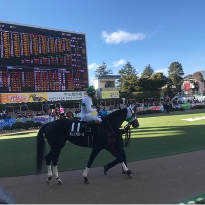 競馬始めました！まだ初心者です。 12/24有馬記念。