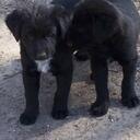 mark kibble - @mrkibble300 - Twitter