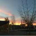 Ben Holt 2019 - @BHCPA2019 - Twitter