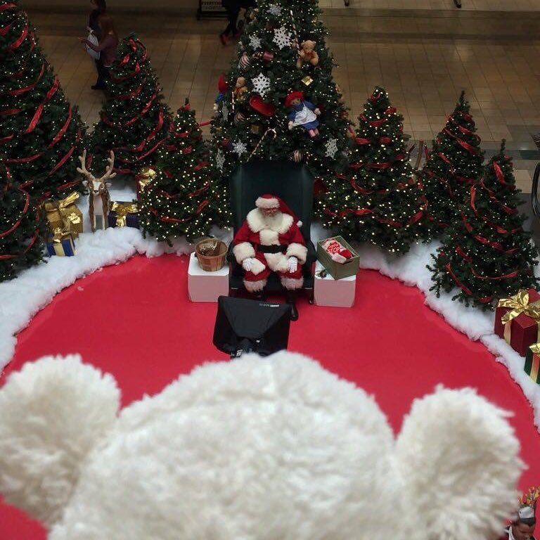 TeddyLongIegs's profile picture. I'm a teddy, with long legs. Went through some rough times, but now I'm back on my feet!