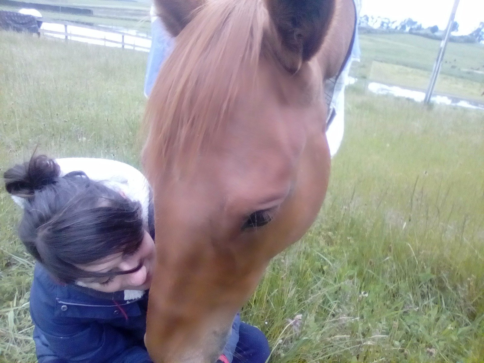 SamBondarenko's profile picture. Horse trainer & in the process of becoming a Global Ambassador for Epilepsy & Extreme Hirsutism in Females. Help me by following & sharing what is to come!