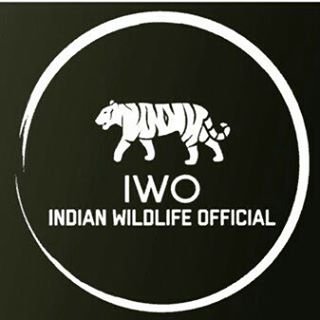 🐅 | Get To Know About Enriched Indian Wildlife
 | A Non-Gov Initiative To Create Awareness |

👉256k Followers On Instagram

 #indianwildlifeofficial