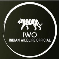 Indian Wildlife Official 🇮🇳(@Indianwildlifeo) 's Twitter Profileg