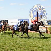 Terang & District Racing Club (@terangracing) 's Twitter Profile