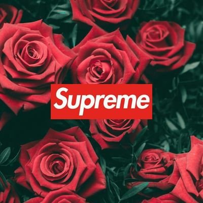 Supreme all the way /modded accounts
Dont fut wit us boi