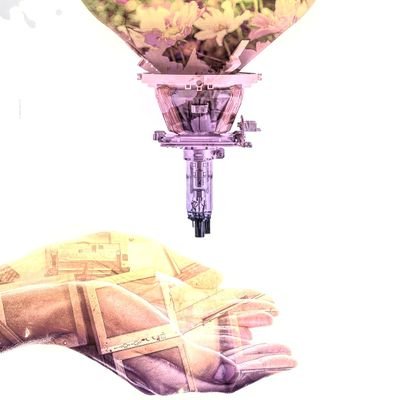インストゥルメンタルミュージックバンド。SCGT(七歹/シチガツ)の自称オフィシャルアカウント。
ポストロック/マスロック/エモ/オルタナ/プログレ
(中の人→Gtオザワ)
Dr:@j_u_n_n
Ba:@ital_o_mt
Gt(上手):@saitou0906
Gt(下手):@ozawa7_6strings