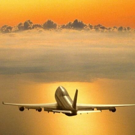 TeylolSandoval's profile picture. 