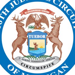 Macomb County Courts Profile