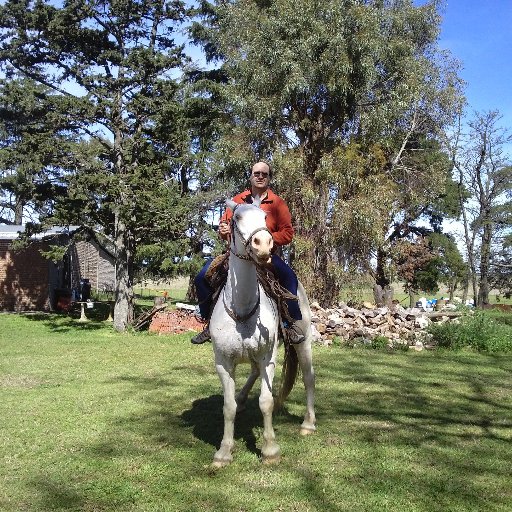 Gaucho Cibernético