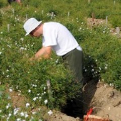 REAL_JOHNSPARKS's profile picture. Just a guy!