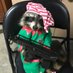 Killer Raccoons! 2! (@killerraccoons2) Twitter profile photo