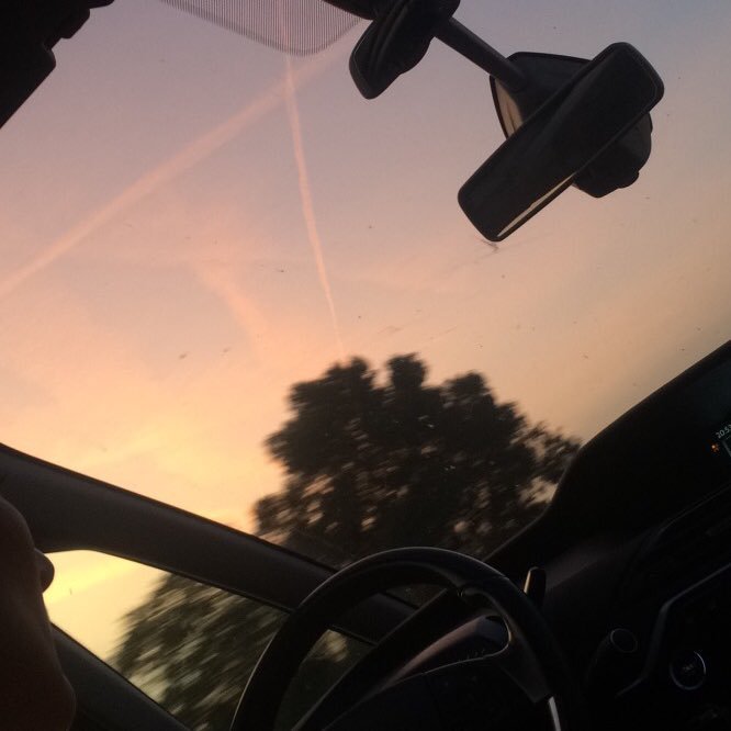 _maxlx's profile picture. 