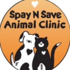 Award-winning nonprofit clinic offering affordable, high-quality spay/neuter services in Central Florida.  Contact us at 407-920-4894.