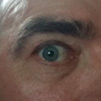 J Sauter ๐โฎ๏ธ๐ (@whatthehell2358) 's Twitter Profile