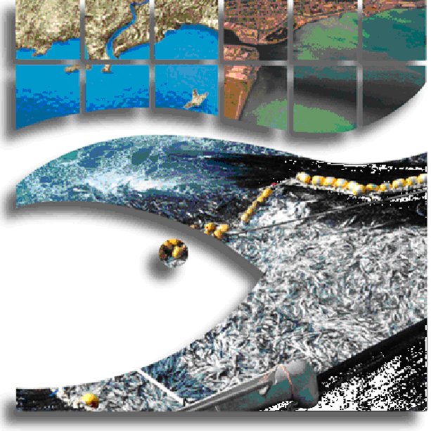 inpesca_biobio's profile picture. INPESCA es un instituto privado de gestión e investigación científica-técnica aplicada en ciencias pesqueras oceanográficas y ambientales