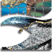 Instituto de Investigación Pesquera (@inpesca_biobio) 's Twitter Profile