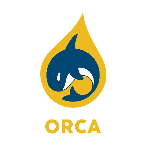OrcaBilzen's profile picture. We're a underwater hockey team in Belgium! Both youth and adults teams! Check out our website with (global) tournament calendar!