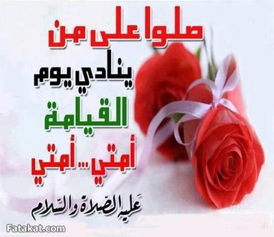 nidxJS1UhaCIvTP's profile picture. 