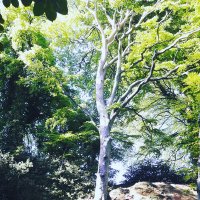 H Jacob (@hjwexhmaj) 's Twitter Profile Photo