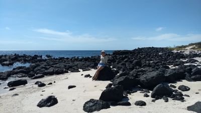 TaniRC90's profile picture. 