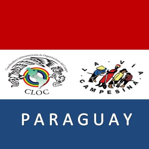 Chokokue_Py's profile picture. Coordinadora Latinoamericana de Organizaciones del Campo (CLOC) - Vía Campesina Paraguay articula a las sgtes. organizaciones: OLT, Conamuri, FNC, OCN, Cultiva.