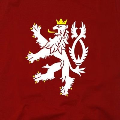 Čaba Čabovič 🇨🇿🇸🇰🇷🇺🇷🇸🇵🇱🇭🇺🇦🇲🇧🇷🇷✌️ Profile