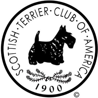 Working hard to make things better for you and your Scottish Terrier.